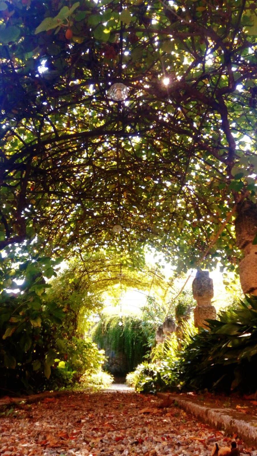 Oddi21 B&B Albenga Ngoại thất bức ảnh