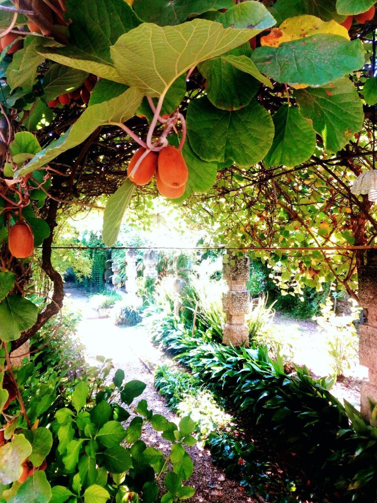 Oddi21 B&B Albenga Ngoại thất bức ảnh
